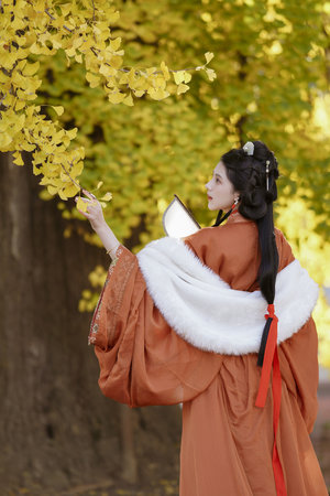 妈妈说今晚爸爸不回家